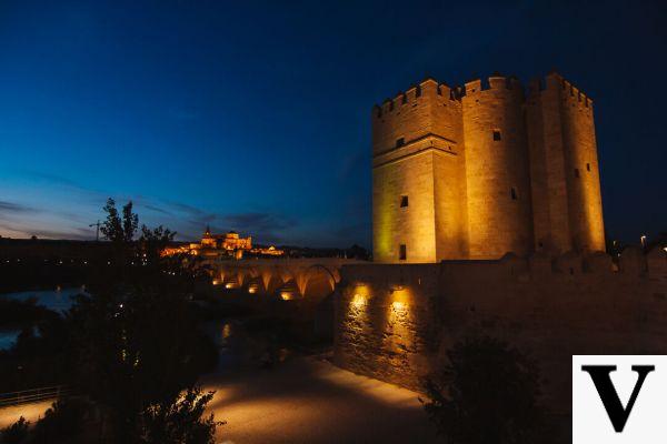 Córdoba Nocturna: Los Mejores Lugares para Disfrutar de la Noche