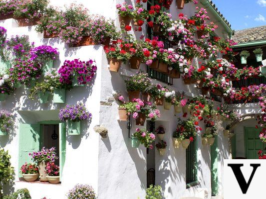 Ruta por los Patios de Córdoba: Historia y Belleza Floral